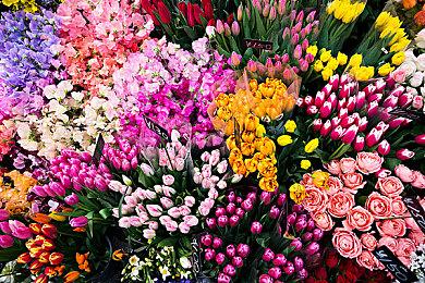 《Concord》PC端将强制要求绑定PSN账号